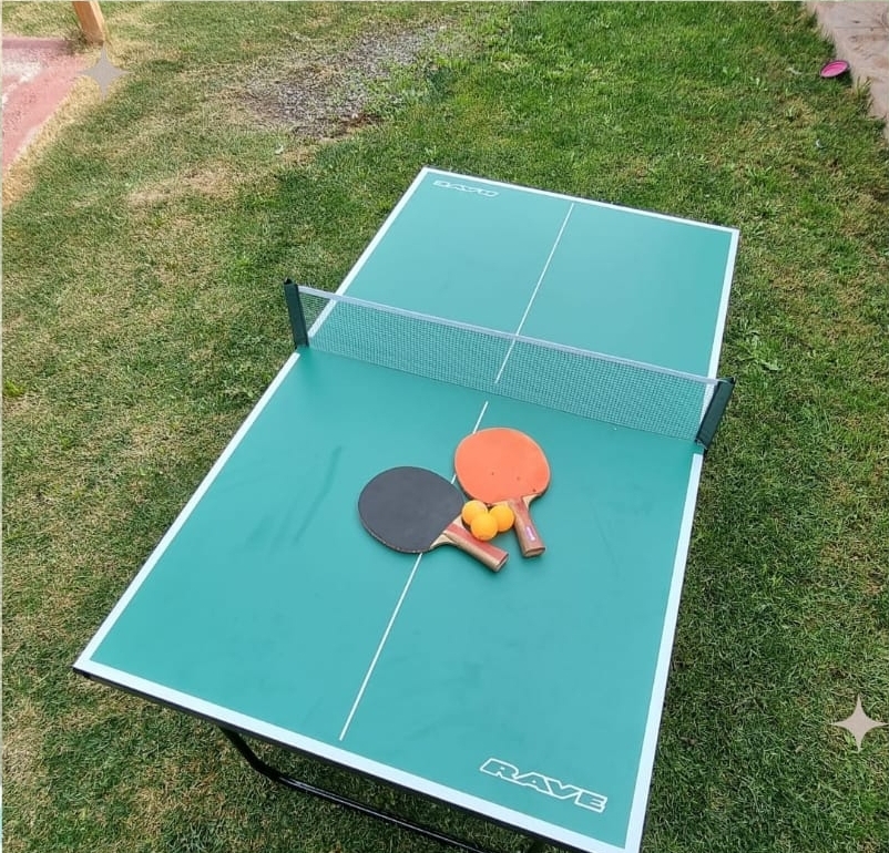 Mini Ping Pong